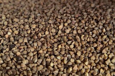 Φαγόπυρο ECO 100g σπόροι λαχανικών για τον κήπο, μεγάλες αποδόσεις