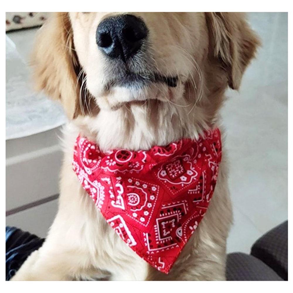Pet Bandana Collar Scarf for Dogs Puppy & Cat Small Medium Large Dogs Adjustable Collars Red Blue Black Pink Stylish Dog Collar