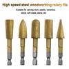 5-Piece High-Speed Steel Woodworking Rotary File Set - 6.3mm Hex Shank, Irregular Shape Files