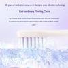 Philips Sonic Electric Toothbrush