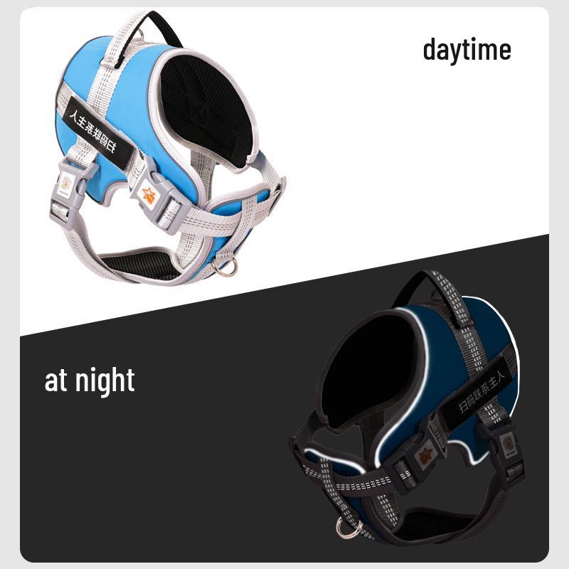 Adjustable Explosion-Proof Dog Leash and Harness for Walking