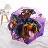 1 PC Automatic Folding Umbrella - Rottweiler Dogs Pattern, Portable & Foldable Design with 8 Ribs, Christmas Birthday Gifts