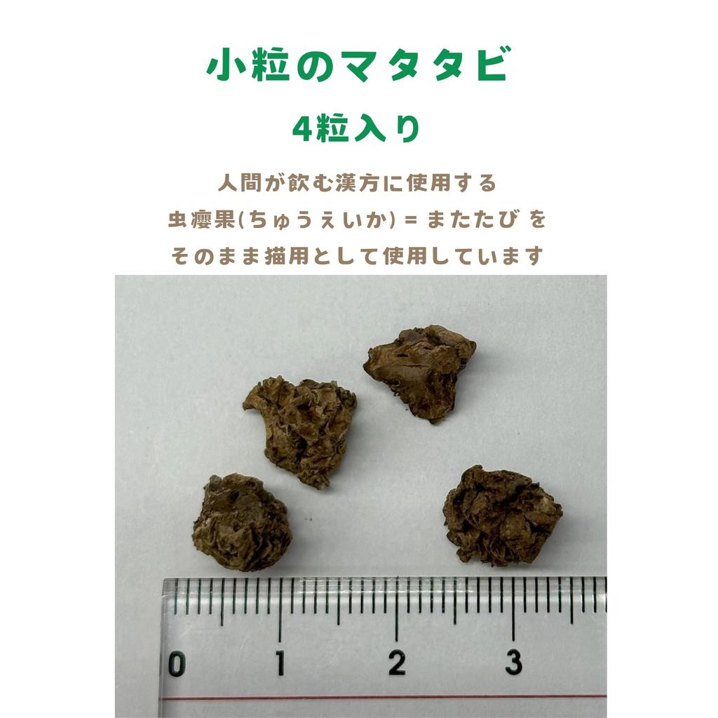 Neko no Tomosha Taiyaki Plyschleksak, Sparkare, Kattmynta, Stresslindring, Tuggande, Säker, Tillverkad i Japan, Inhemskt Sydd, Realistisk Form, Handgjord, Gåva