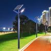 SPSR Aluminum Landscape High Pole Light