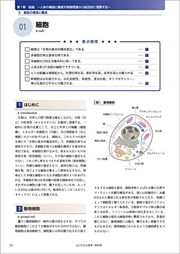 QUICK Physiology and Anatomy: Structure, Function, and Pathophysiology of the Human Body