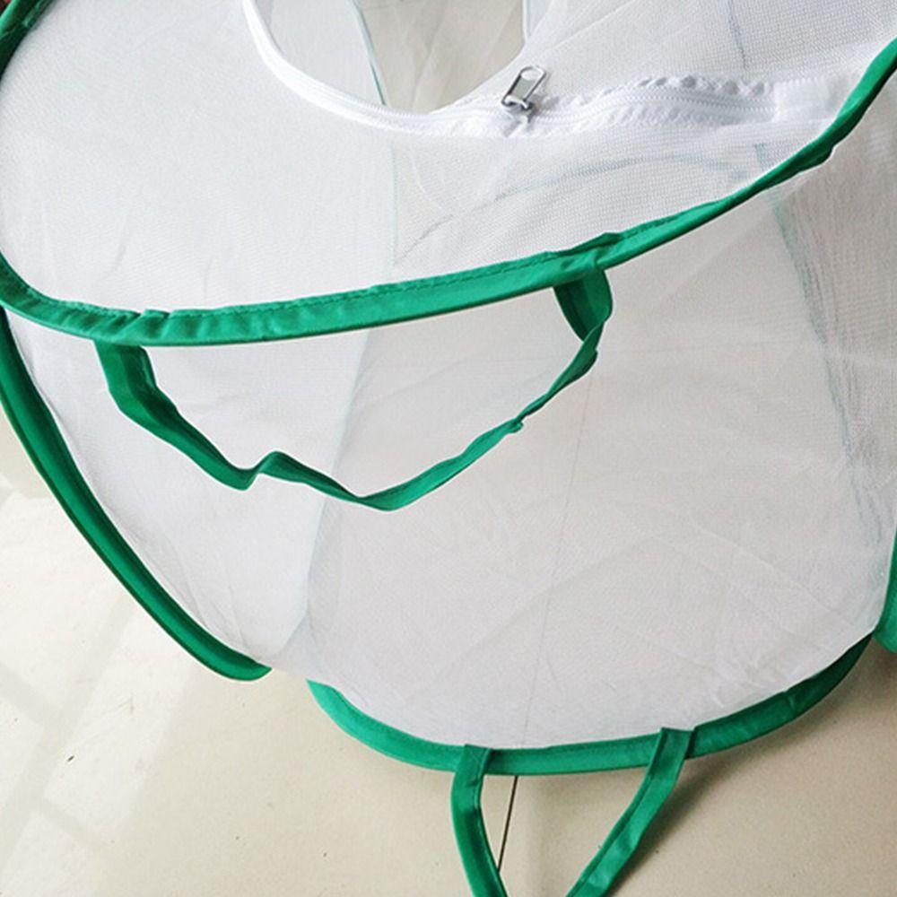 Green Reptile Pets Cage Zipper Opening Plant Insect Screen Creative Breeding Observing Cages  Farm