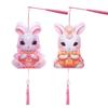 Cute Festival Lantern Material Kits DIY Craft Cartoon Rabbit Lamps  Women