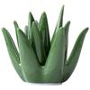 Nordic Ceramic Cactus Aloe Vera Ring Jewelry Earrings Home Study Office Desk Decorations Crafts