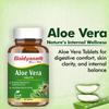 Baidyanath Aloe Vera 60 Tablets 250 Mg Daily Wellness Supplement Skin Care Support Routine Vegetarian Pack Of 1