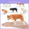 PVC Japanisches Shiba Inu Modell Für Kinder Pädagogisches Spielzeug Tierfigur