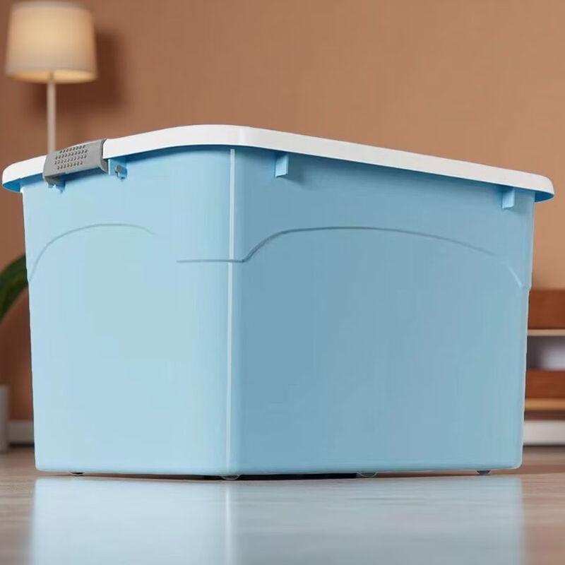 Zhi Xin Yun Cai Large Capacity Plastic Storage Box