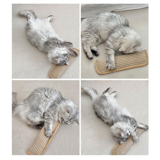 Cat Scratch Mat Cat Toy Sisal Scratcher Pillow Stuffed with Catnip Safe Nail File for Indoor Cats Kitten Training Entertainment Health