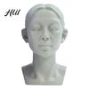 Human Anatomy Teaching Tool Generic Planar Head Model for Drawing Resin Skull Sculpture with Accurate Detailed Muscle Structure Art Study Sketching