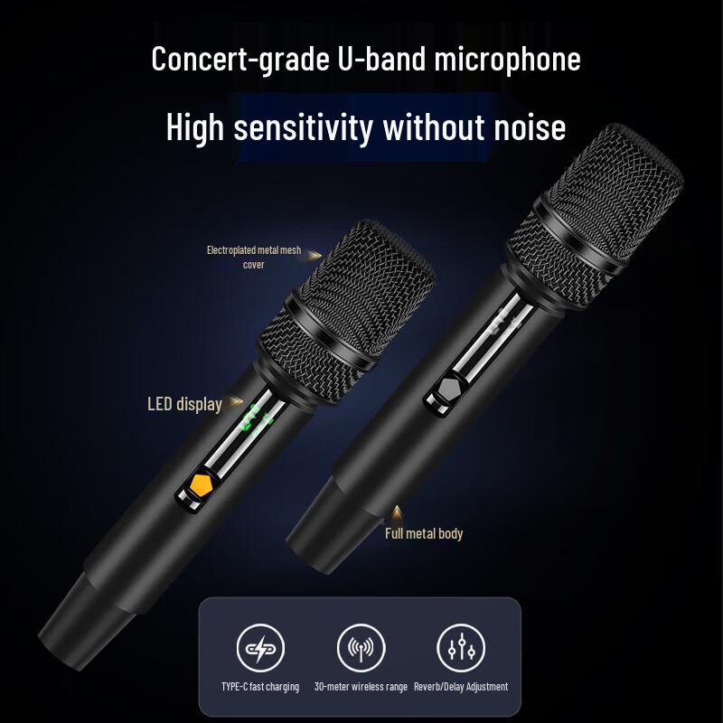 Sanshui G26 Portable Outdoor PA Speaker with Wireless Mic
