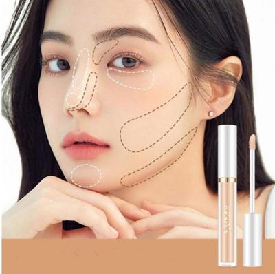 Perfect Cover BB Cream Concealer Moisturizing Foundation Makeup Bare Whitening Oil Control