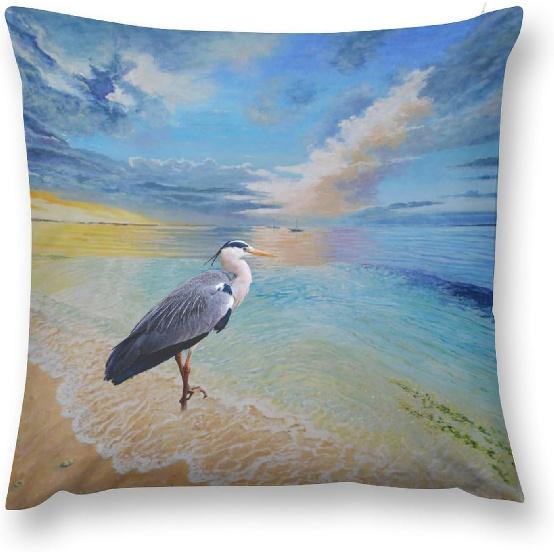Catoon Bird Short Velvet Throw Pillow Covers 18x18 Double Sided with Zipper Decorative Pillows for Couch Cushion Sofa Outdoor