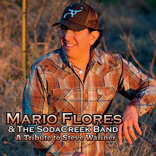 

CD MARIO FLORES - A Tribute To Steve Wariner Japan Folk Used