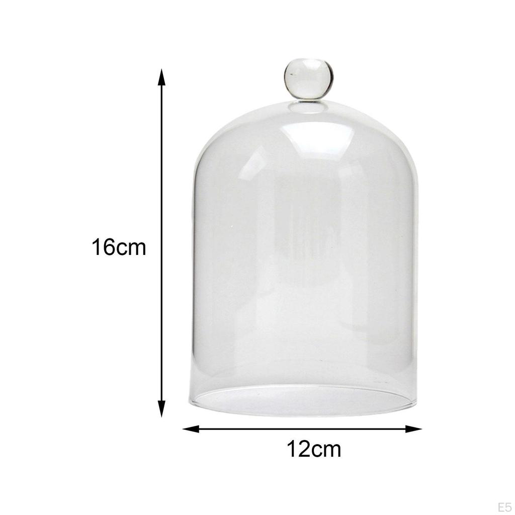 Vetrina in Vetro Decorazione per la Casa Fai da Te Cupola Cloche per Festa Ufficio Tavolo