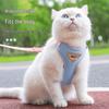 Cães – Colares e correias para cães