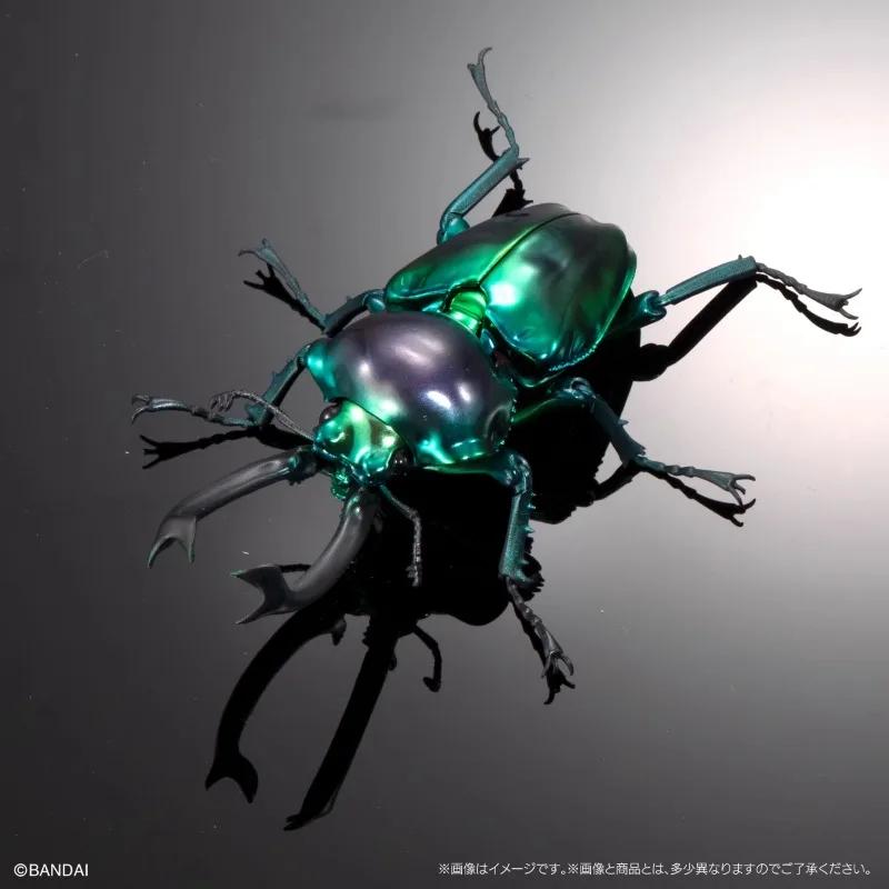 Original Twisted Egg Biological Encyclopedia Scarab Beetles Simulation Model Ornaments Action Figure Toys