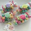 10Pcs Transparent Candy-Shaped Cake Box Plastic Airtight Fruit Salads Box Gift Box with Lid Cake Container