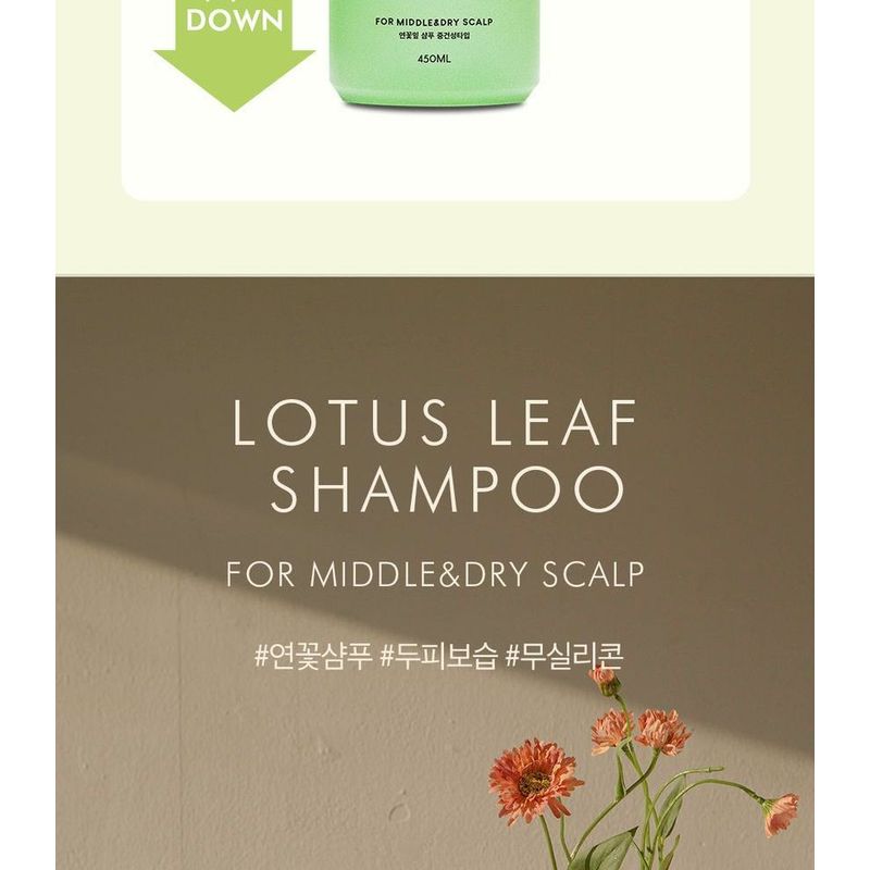 THE PURE LOTUS - Lotus Leaf Shampoo For Middle And Dry Scalp Jumbo