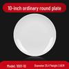 Commercial Melamine Dinner Plate