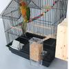 KARTOFFEL Vogelfutter Automatisch Automatisch Transparenter Behälter Katze Geschäftsreise Kleiner Vogelkäfig Futter Schale Verhindern Fütterung Fütterungsmaschine Futterspender,