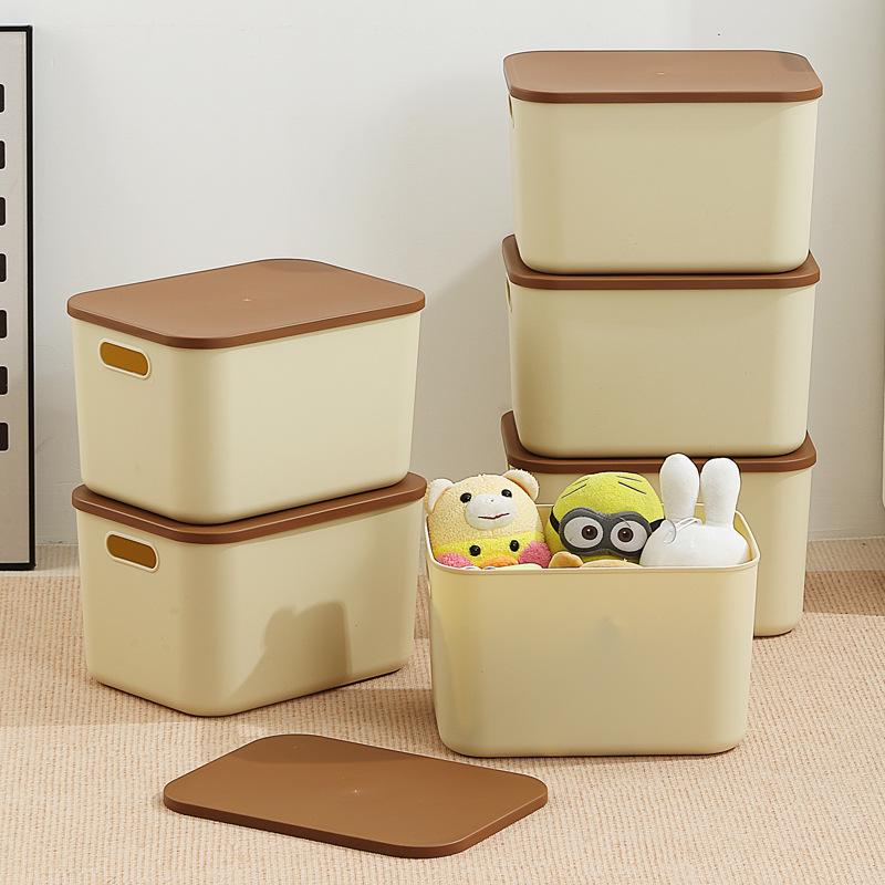 Plastic Desktop Organizer Box with Lid for Dorms and Kids' Toys