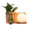 Nordic Wall Lamp Plant Wall Lights for Indoor Lighting Bedroom Living Room Home Decor Aisle Decoration