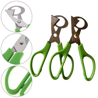 Quail Egg Scissors Quick Stainless Steel 14cm Easy