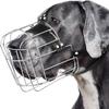 Cães – Produtos para treino de animais
