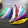 50Pcsdiy Scimitar Feather Colored Feather Handicrafts Jewelry Accessories Material Feather