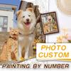 Desen – Picturi cu numere