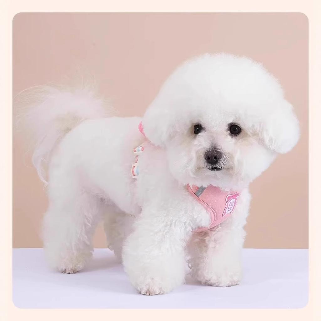 Bowknot Dog Leash Summer Cool Dog Chest Backpack Outdoor Cute Dog Walking Rope Chest Backpack(Blue-XL)