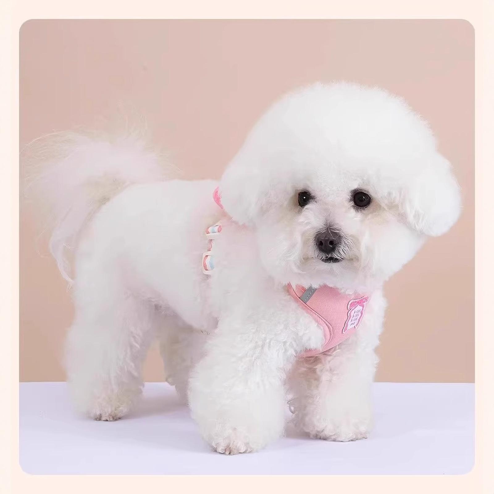 

Bowknot Dog Leash Summer Cool Dog Chest Backpack Outdoor Cute Dog Walking Rope Chest Backpack(Blue-XL) S