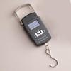 Portable High-Precision Mini Spring Scale for Household, Luggage, and Kitchen Weighing