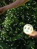 10M/50M/200M LED Green Wire String Lights Christmas Fairy Lights Garland With Remote Outdoor Christmas Tree Decor Lights For New Year Party Home Patio