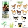 Frog Life Cycle Model Set: Tadpole to Frog Educational Toys for Kids