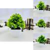 Modern Artificial Green Plant Potted Decor For Home Office And Tabletop Display
