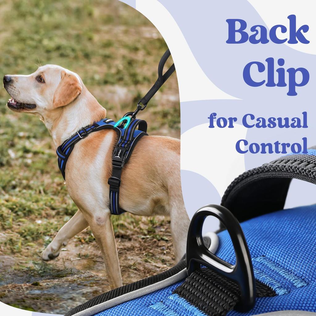 Model Dog rabbitgoo Dog Harness for Dogs Adjustable No Head Reflective Material for Nighttime Secure Cough Walking Senior Dog Care Easy to Put On and