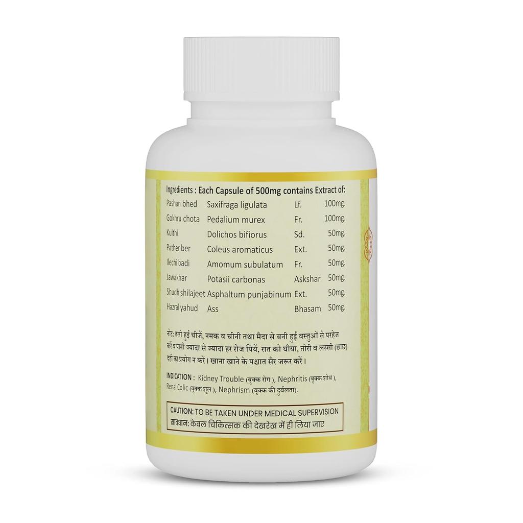Jeena Sikho Stoni Herbal Kidney Care Capsules Natural Wellness Support 60 Count Daily Detox Balance Formula Pro