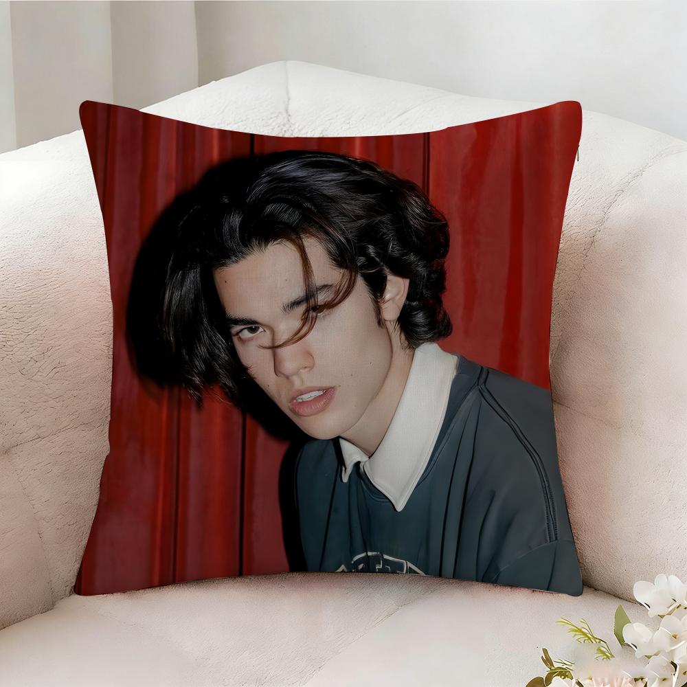 C-conan G-Gray Singer Pillow Case Pillowcase, Double-sided Printed, Sofa Cushion, Bedroom Headboard Pillow