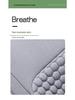 Linen Car Seat Cushion with Backrest for All Seasons