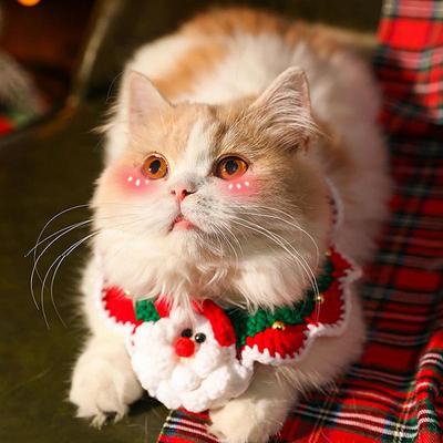Weihnachtskatze Hundehalsband Weihnachtsmann Schal Kostümzubehör für Weihnachts-Mottoparty Dekoration Kätzchen Fliege Haustierbedarf