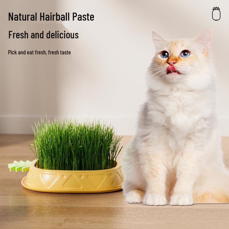 Cat Grass Hydroponic Kit: Wheatgrass Catnip Snacks for Hairball Relief