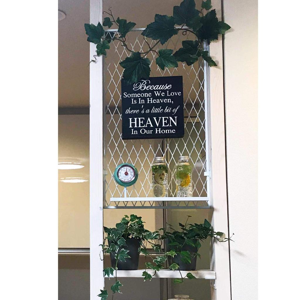 Waki Sangyo Lacety Panel White Depth X Height X Width 28cm 0.7 55.5 LAC-001