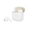 Shinco TMS Series GT12 True Wireless Earbuds