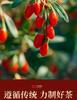 Jieying Red Goji Berry Gift Box