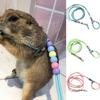 Lizard Leash Adjustable Night Luminous Portable Lizard Hamster Rabbit Nylon Traction Rope Pet Leash Adjustable Harness